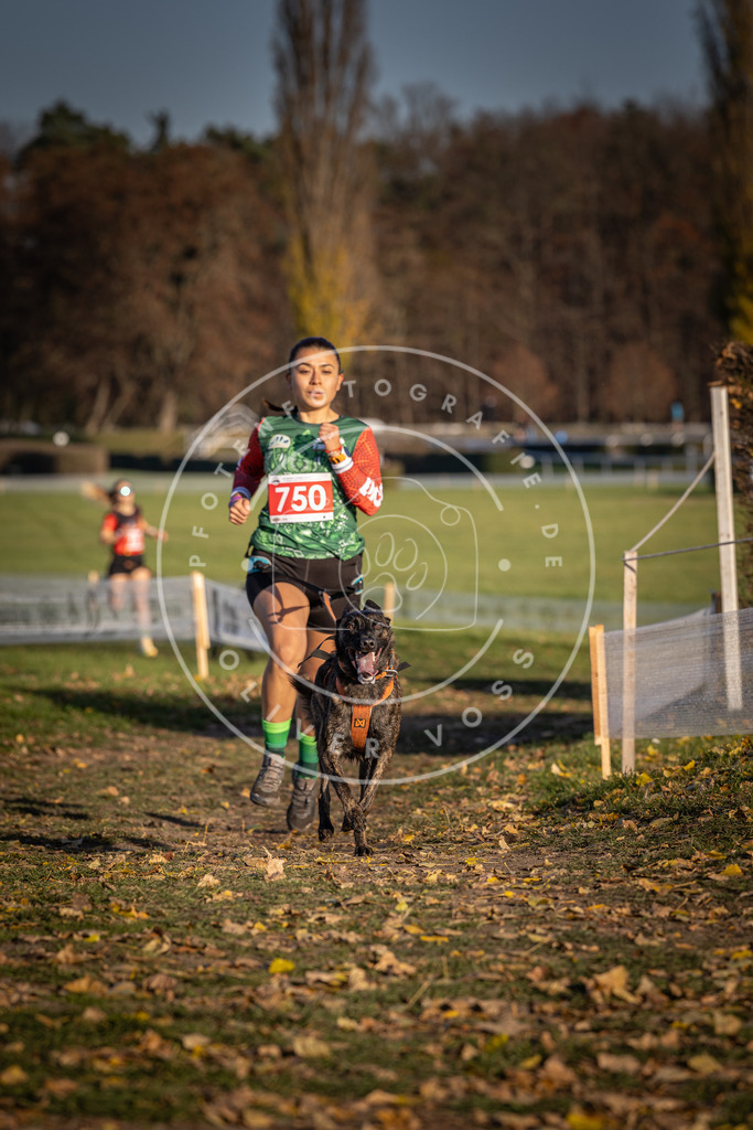 CaniXpix_DV3A2399 | Hundefotografie, Tierfotograf, Pfotenfotografie, Fotoshooting Hund, Hunde Portrait, Hundesport, Hundeportraits, Heideshooting, Hunde, Sportfotograf, Hundefotograf, Turnierhundsport, THS,  - Realisiert mit Pictrs.com