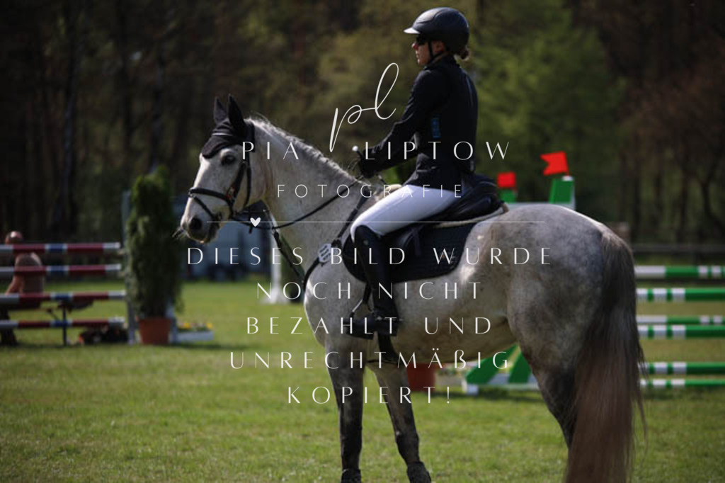 IMGT5443 | pl-fotografie