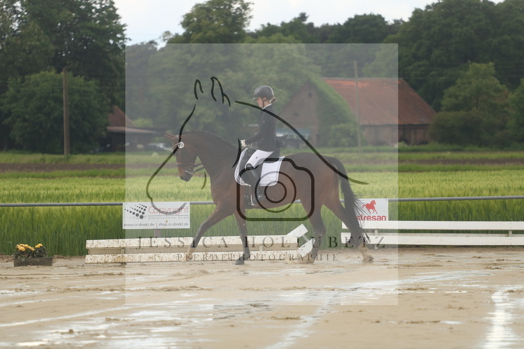 IMG_8945 | jessicahollubetz_pferdephotographie - Realisiert mit Pictrs.com