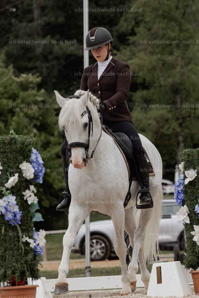 WE_DR_Stoib_318_PI2025_481 | Pferd International München 2025