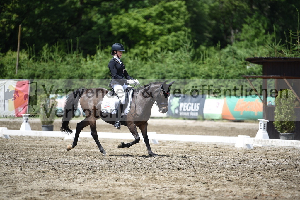 DSC_1379 | equestrian-live-com