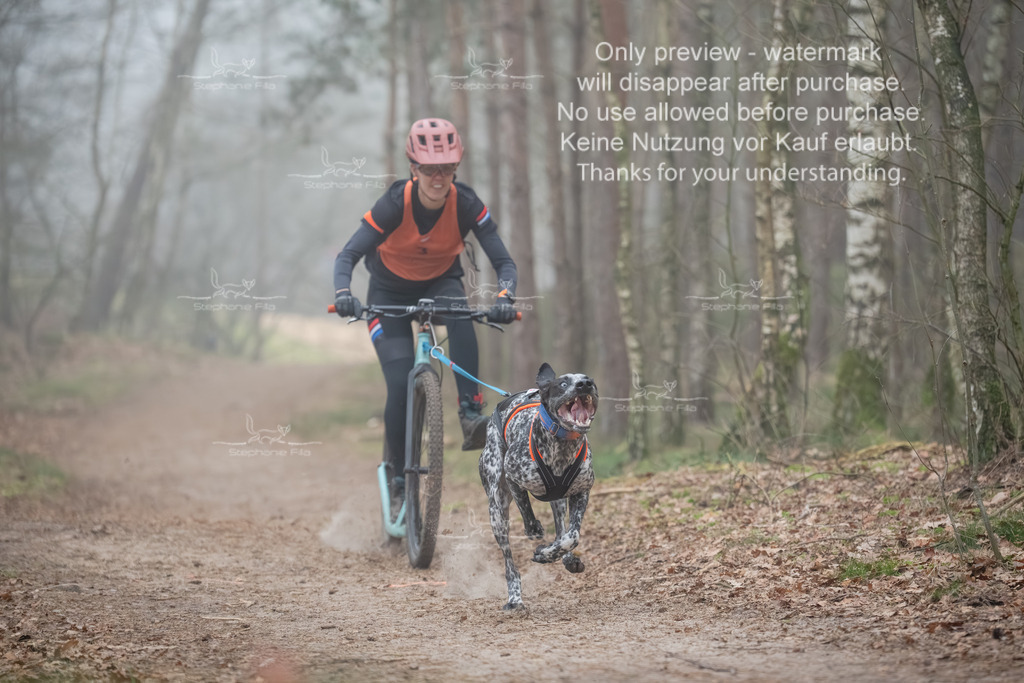 Scooter1-11 | stephaniefillaphotographie - Realisiert mit Pictrs.com