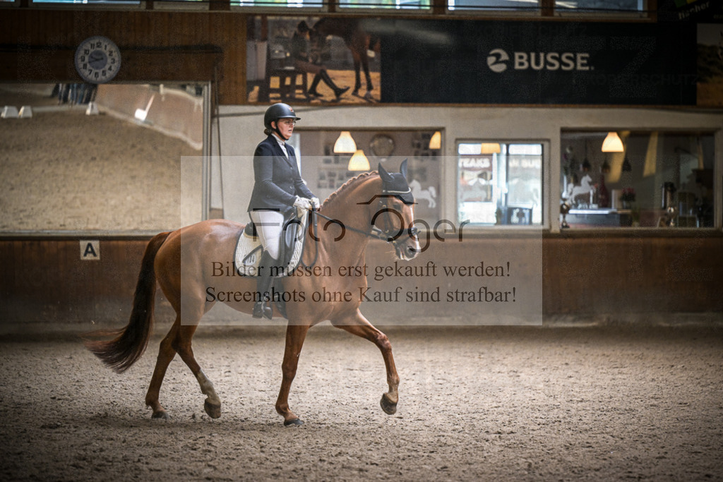 DOS_0630 | Entdecke hochwertige Reitturnierfotos von Foto Oger. Professionell, emotional und authentisch – jetzt Lieblingsmomente im Shop bestellen.Deutschlandweite Turnierfotografie. - Realisiert mit Pictrs.com