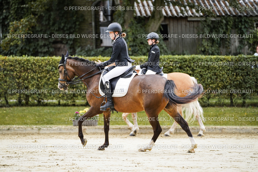 DSC04759 | Pferdegrafie