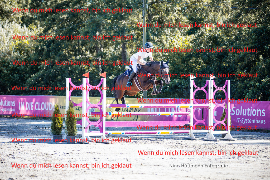BK1A5818 | Turnierbilder Turnierfotos Nina Hüffmann Turnierfotografie Pferdefotografie Tierzeichnung Haustierzeichnung Pferdezeichnung Hundezeichnung Videograf  - Realisiert mit Pictrs.com