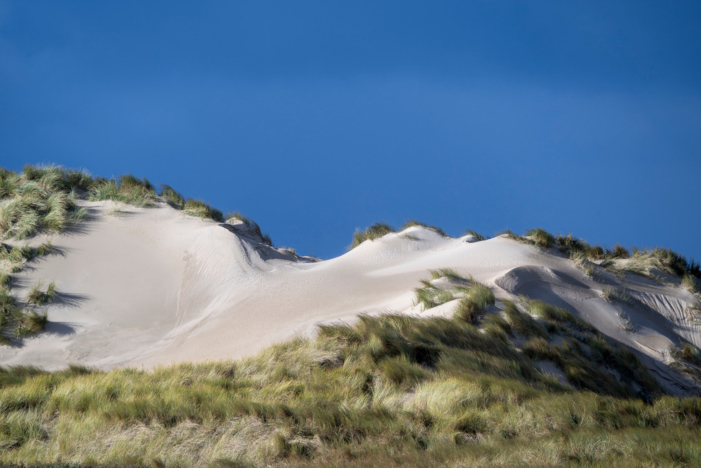 251027_Texel_3183_mr | Entdecke exklusive Fotografie im muebri Shop: Stimmungsvolle Motive  Naturaufnahmen und mehr. Jetzt hochwertige Wandbilder und Fotoabzüge online kaufen! - Realisiert mit Pictrs.com