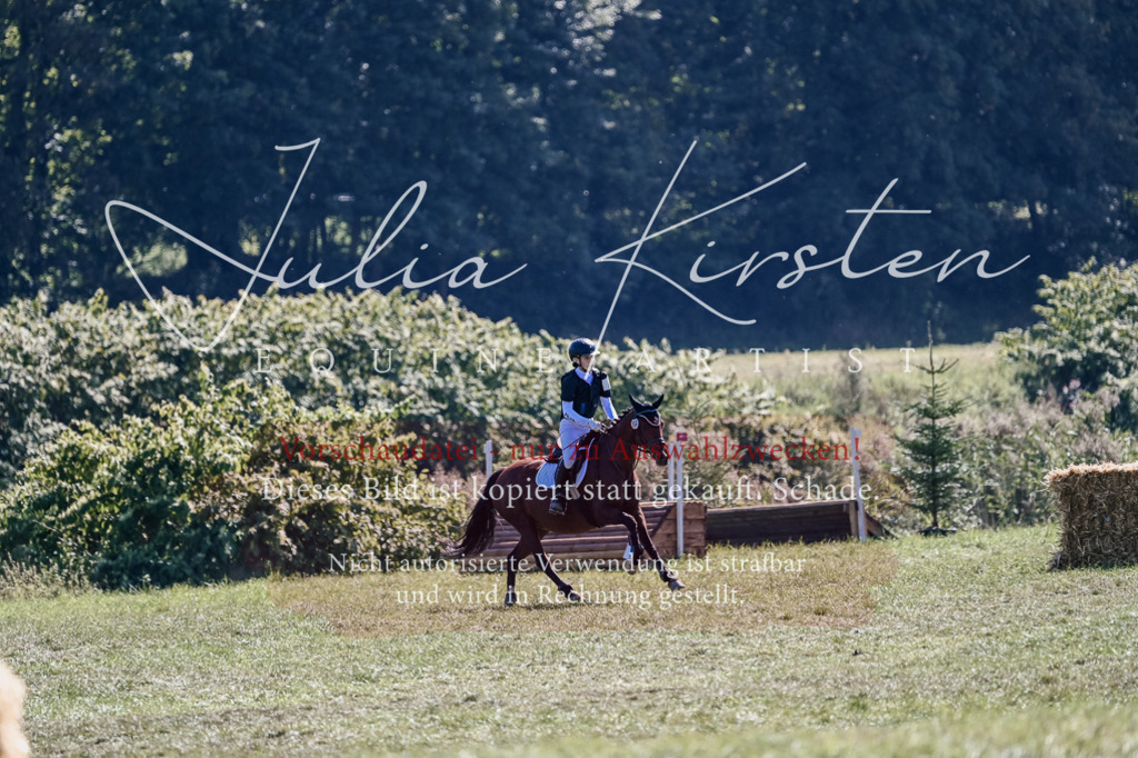 DSC_2808 | Pferde- und Turnierfotografie in Westsachsen. Pferdeportraits, Auftragszeichnungen und intuitive Kunst.