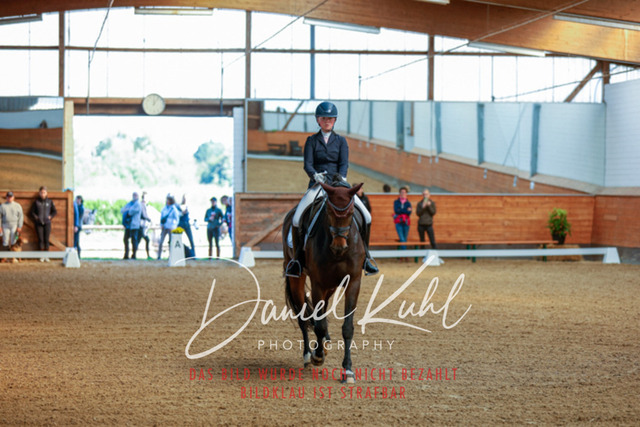 _62_4378 | Turniersportfotografie; Pferdefotografie; Dressurfotografie