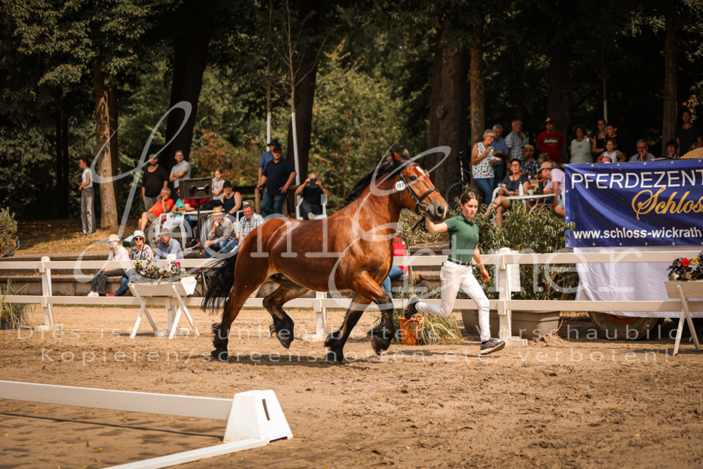 2.Sa00045 | Leoni Ertmer Photography - Realisiert mit Pictrs.com