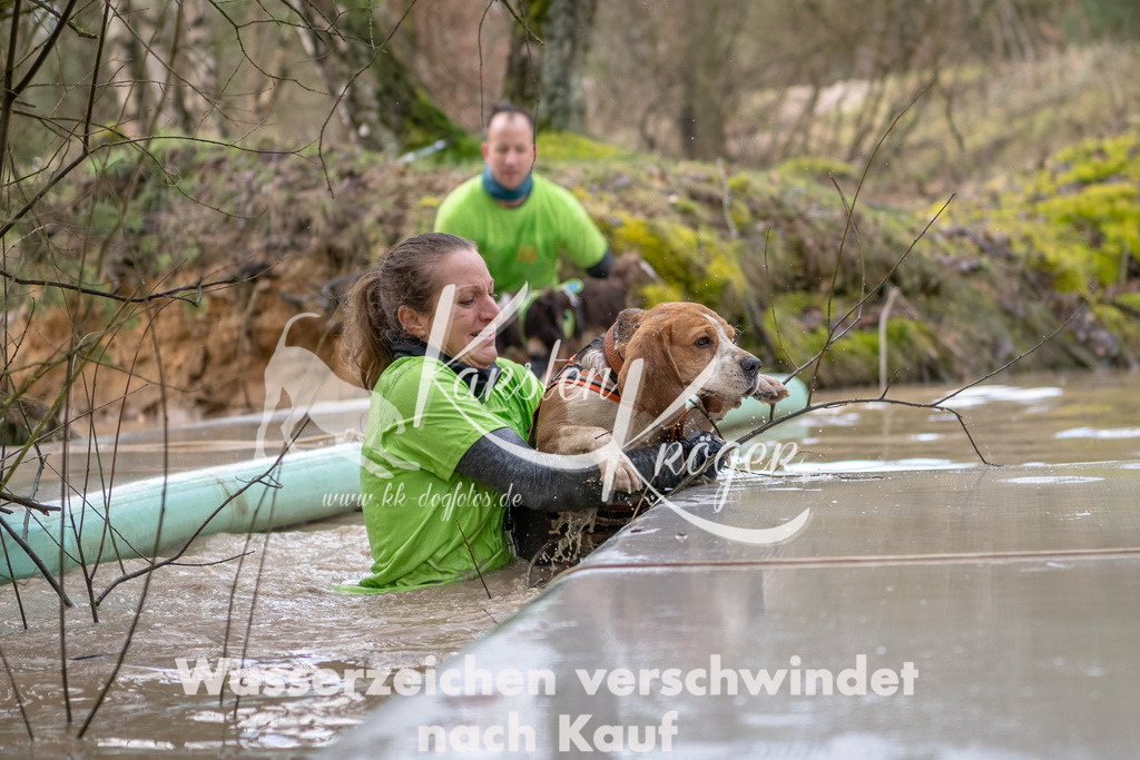 0954_ZZ91688-Bearbeitet | kk-dogfotos