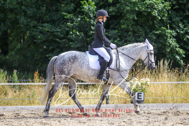 DKP46085 | Turniersportfotografie; Pferdefotografie; Dressurfotografie