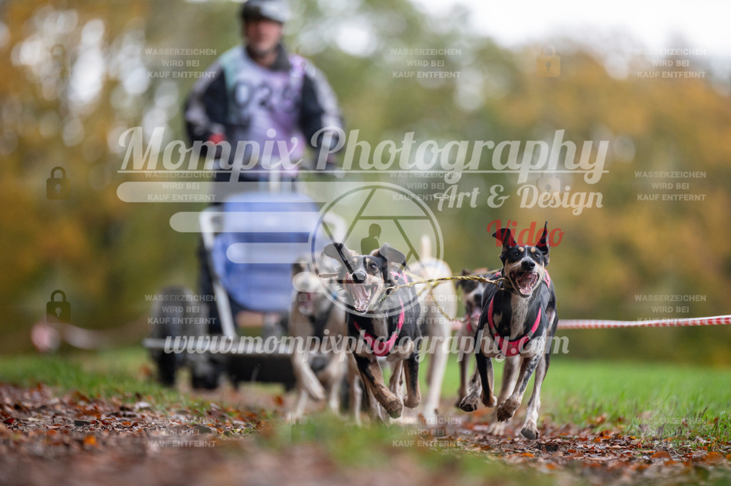 DBT_DAKM_SA_4_11_2023_Kart-4 | PayLife