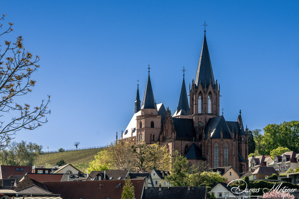 Katharinenkirche in Oppenheim | Die imposante Katharinenkirche in Oppenheim gilt als eine der bedeutendsten gotischen Kirchen am Rhein. Ihre Errichtung erfolgte in mehreren Bauabschnitten im 13., 14. und 15. Jahrhundert. Heute ist sie eine der schönsten Sehenswürdigkeiten in Rheinhessen.