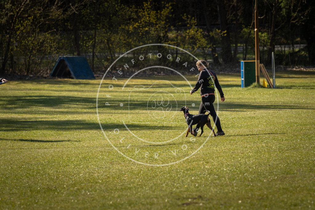 Pfotenfotografie_DV3A0302 | Hundefotografie, Tierfotograf, Pfotenfotografie, Fotoshooting Hund, Hunde Portrait, Hundesport, Hundeportraits, Heideshooting, Hunde, Sportfotograf, Hundefotograf, Turnierhundsport, THS,  - Realisiert mit Pictrs.com
