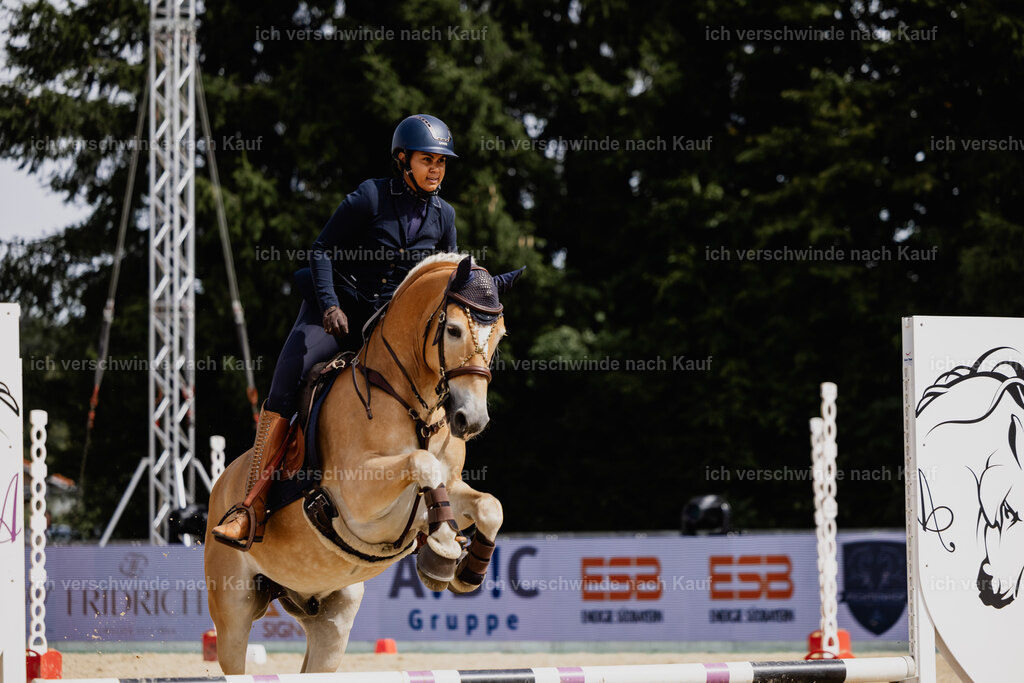 Tanesha5FHC2025-20107 | working equitationturnier fotograf videograf stoibphotography marixx film working equitation deutschland reitsport turnierfotografie eventfotografie equestrian events