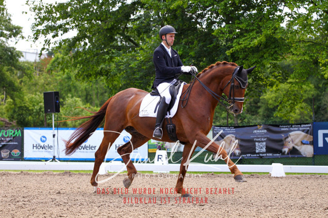 DKP40891 | Turnierfotos kaufen im Webshop von Daniel Kuhl Photography – entdecke professionelle Reitsportfotos aus Turnieren & Events. Hochwertige Turnierbilder online bestellen & sichern. Jetzt Fotos von Reitsportturnieren kaufen!