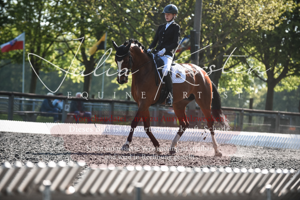 DSC_8644 | Pferde- und Turnierfotografie in Westsachsen. Pferdeportraits, Auftragszeichnungen und intuitive Kunst.