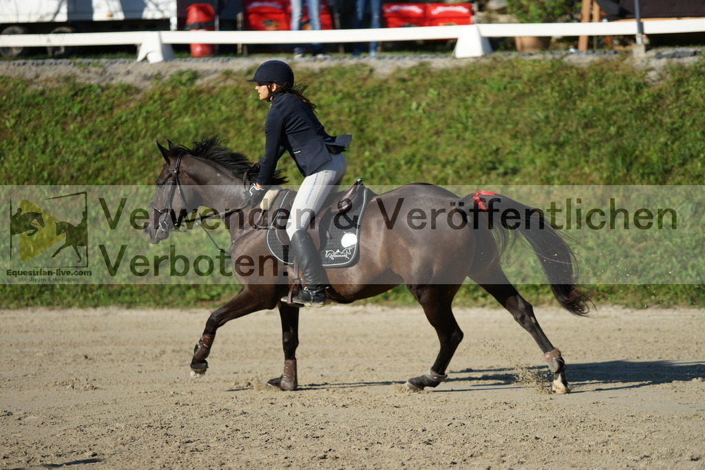DSC02166 | equestrian-live-com