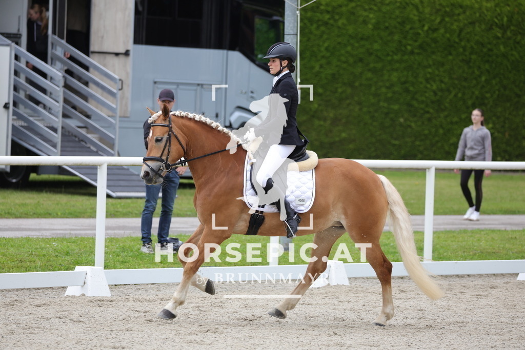 0P6A5244 | Willkommen bei Brunnmayr - Design & Fotografie – Ihrem Spezialisten für Reitturniere und Pferdeveranstaltungen in Oberösterreich, Salzburg und Bayern! Seit über 17 Jahren sind wir leidenschaftlich dabei.