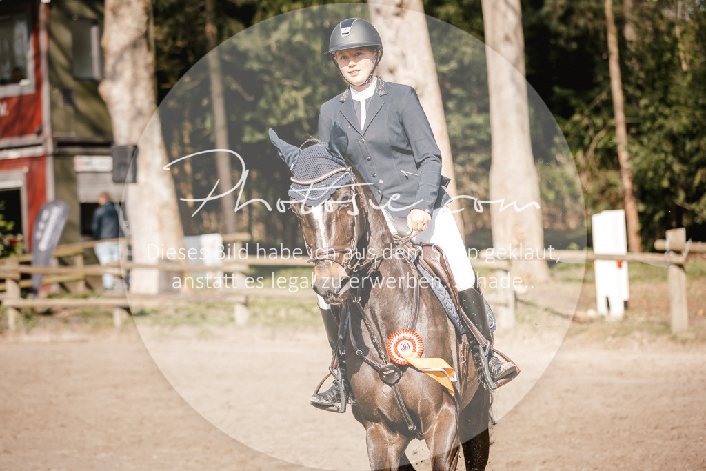 3I6A3850 | Stimmungsvolle Portraits und Reitsportfotografie im Ruhrgebiet und im Münsterland.

Pferdefotografie, Hundefotografie, Tierfotografie, Reportagen, Portraits von Tier und Mensch, Turnierfotografie in Bochum, Recklinghausen, Marl, Haltern am See, Dülmen.. - Realisiert mit Pictrs.com