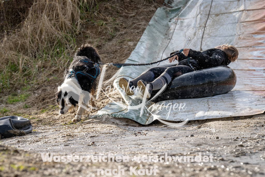 1621_ZZ90505 | kk-dogfotos