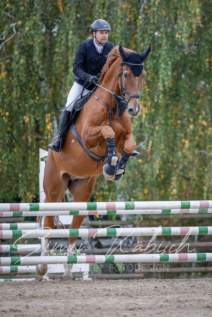 20251012-_3LI4432 | Tierfotografie Pferde, Hunde, Katzen, Haustiere.
Turnierfotografie Reitturniere, Reiten, Springreiten, Dressur in Hanau, dem Main-Kinzig-Kreis und dem Rhein-Main- Gebiet um Frankfurt