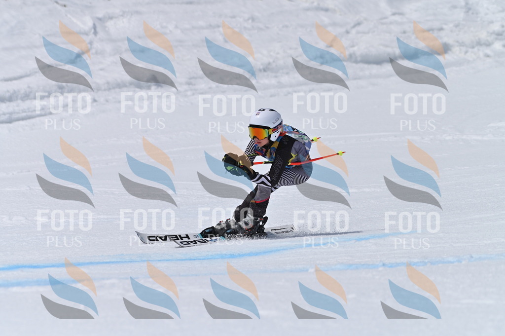 BGV_7101 | holidayphoto