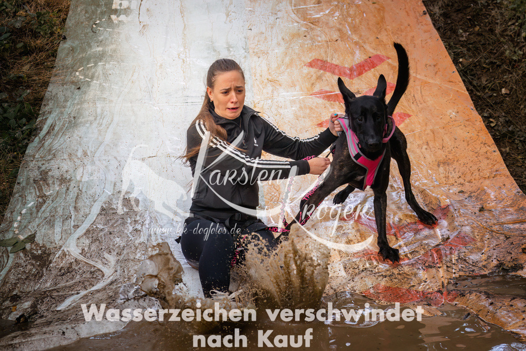 1047_ZZ94591 | kk-dogfotos