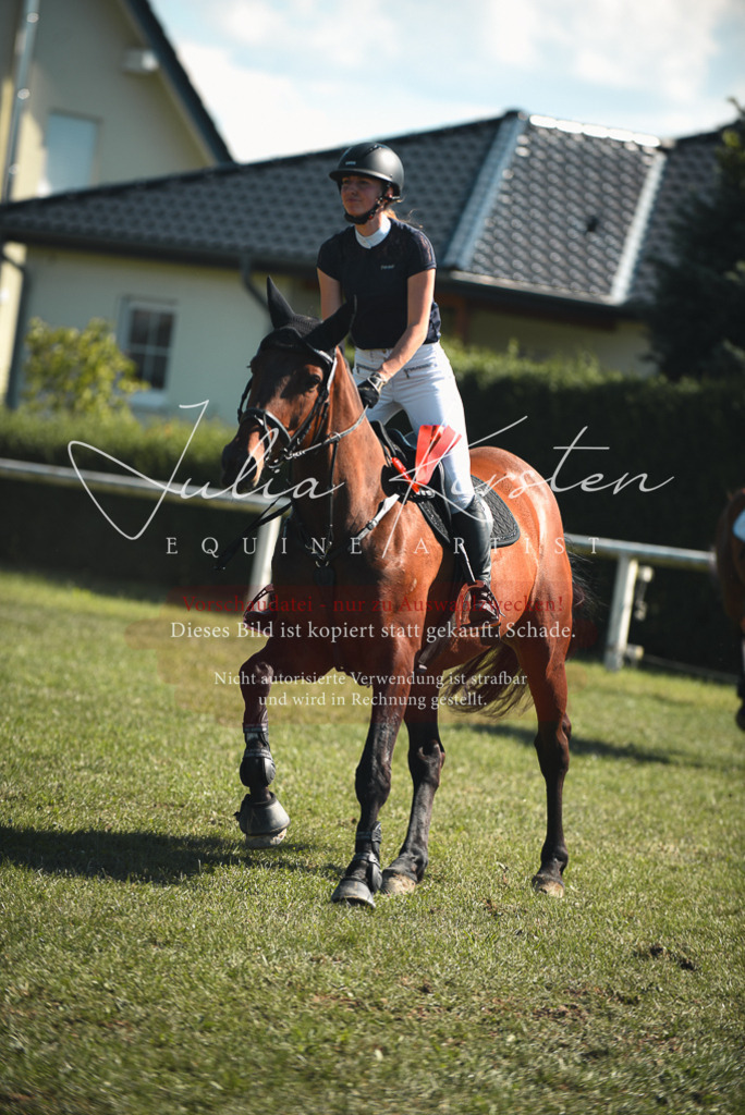 DSC_7346 | Pferde- und Turnierfotografie in Westsachsen. Pferdeportraits, Auftragszeichnungen und intuitive Kunst.