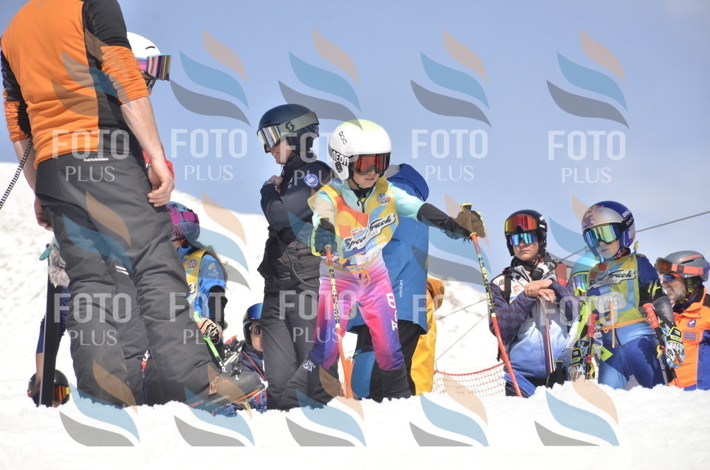 _ELE9549 | holidayphoto