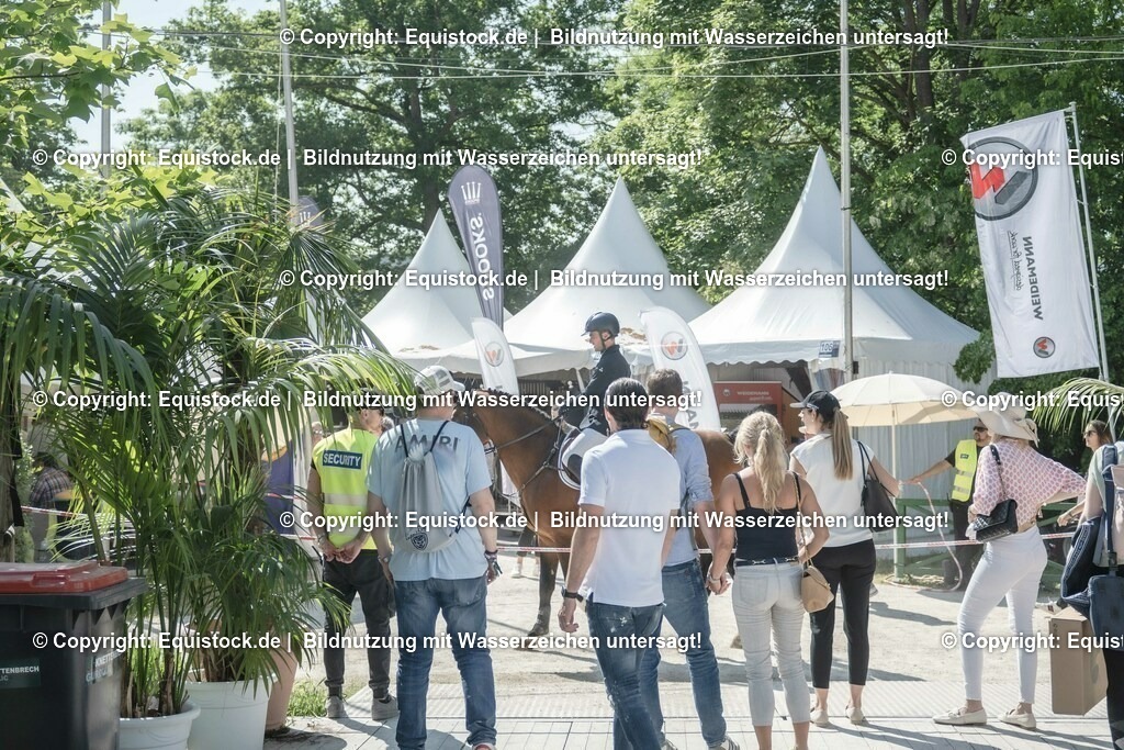 ZFC_4333 | equistock