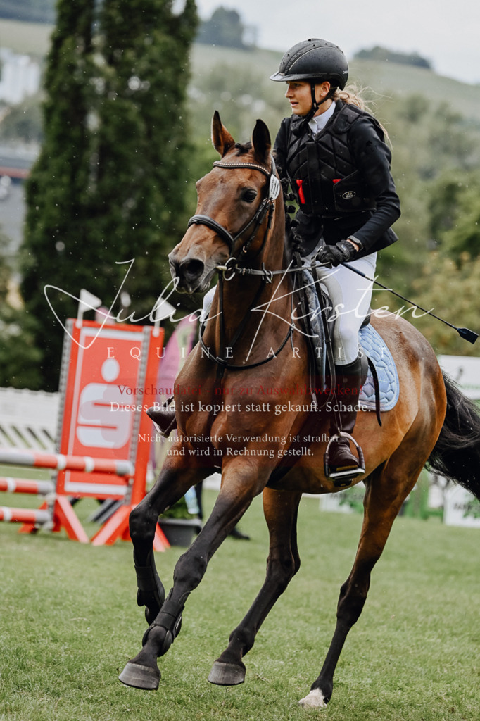 DSC_6958 | Pferde- und Turnierfotografie in Westsachsen. Pferdeportraits, Auftragszeichnungen und intuitive Kunst.