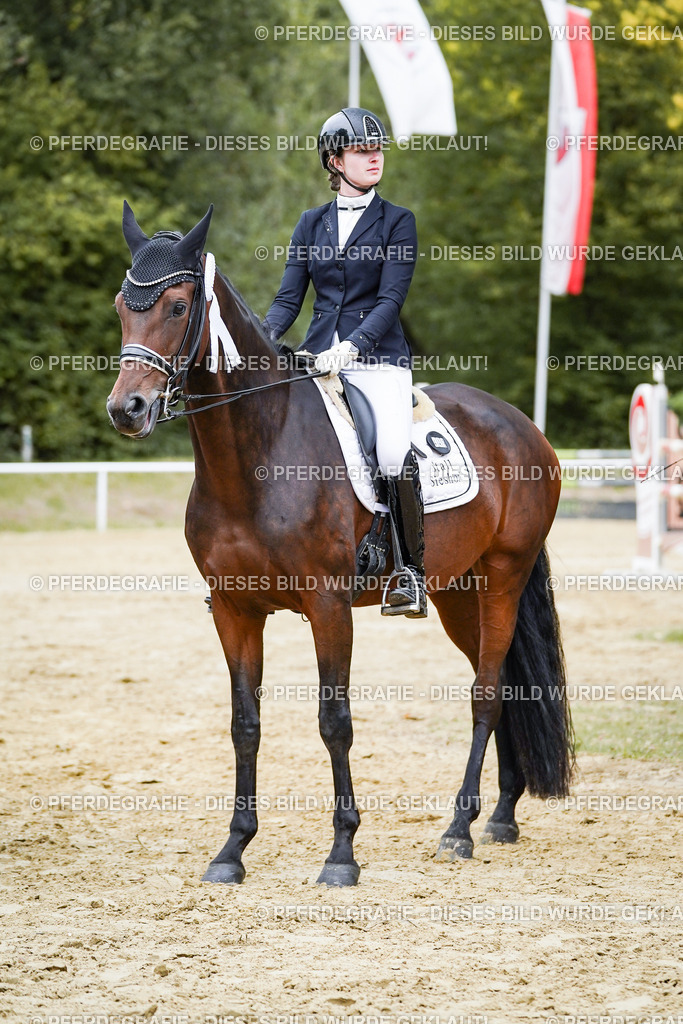 DSC02583 | Pferdegrafie