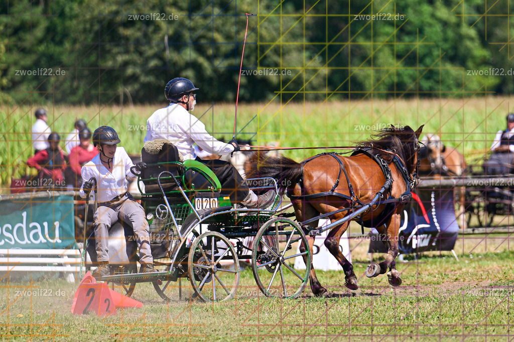 30 Jahre RFV Pulsnitz e.V., Pulsnitz am 09.08.2026 | Zur 28. breitensportlichen Veranstaltung des RFV Pulsnitz e.V. fanden verschiedene Wettbewerbe in nahezu allen Disziplinen des Pferdesport statt. - 18 Kegel-Fahr-Wettbewerb - Realisiert mit Pictrs.com