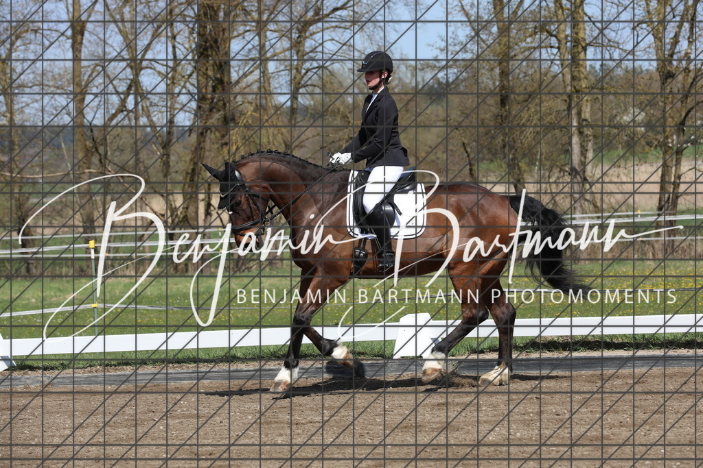 AZ2A4574 | Benjamin Bartmann Photomoments