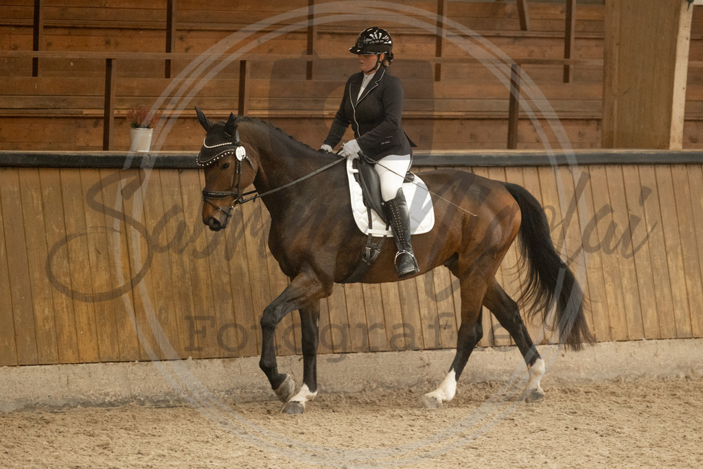 994A3969 | sabrinanicolaifotografie - Realisiert mit Pictrs.com