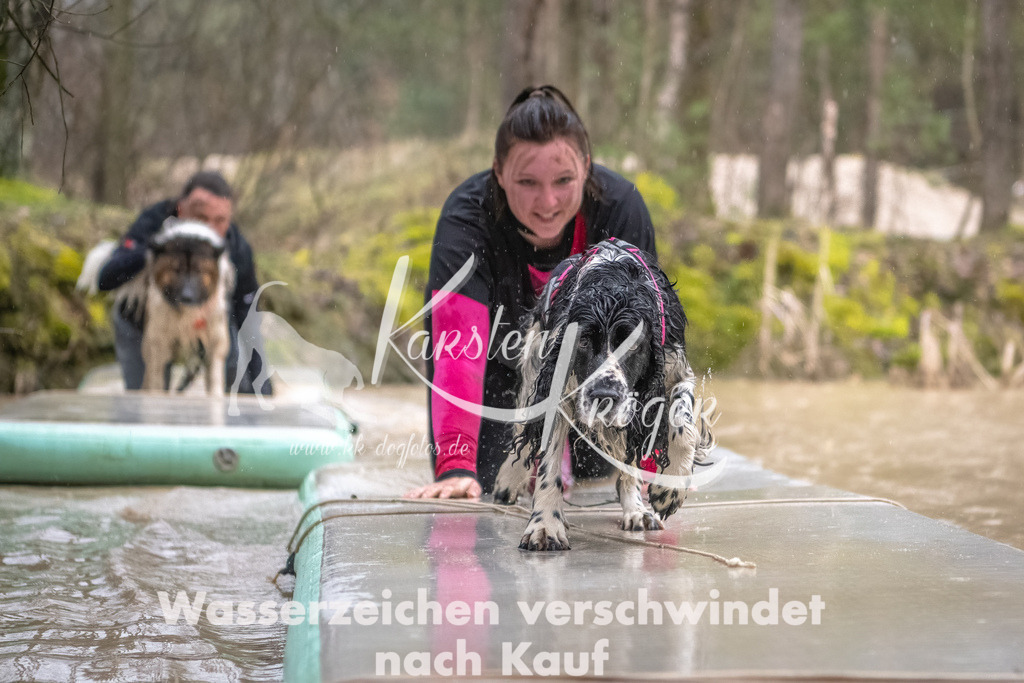 1056_ZZ93758-Bearbeitet | kk-dogfotos