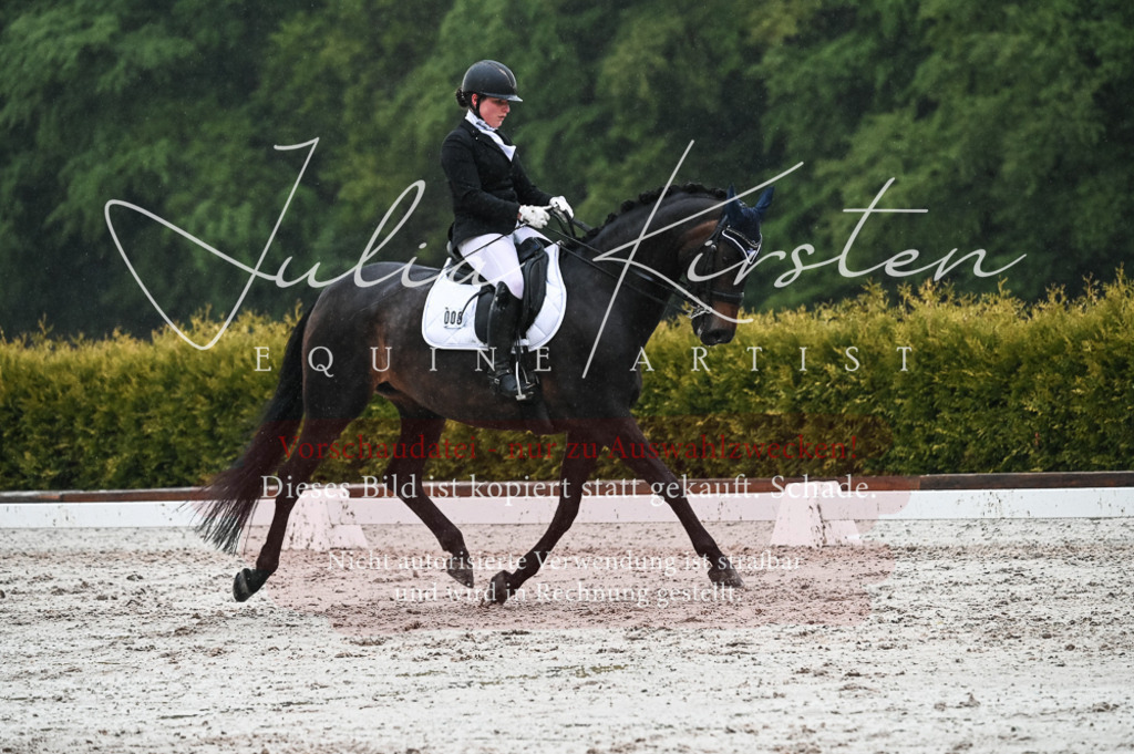 DSC_4697 | Pferde- und Turnierfotografie in Westsachsen. Pferdeportraits, Auftragszeichnungen und intuitive Kunst.