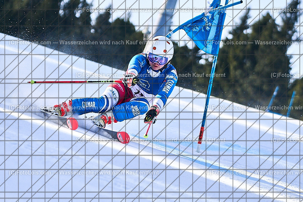 _ALP1193_FIS-Masters-GS-I_Glungezer_Valle Margaux | FIS-MASTERS-WorldCup am Glungezer, GiantSlalom-I, Sa 17. Jänner 2026.