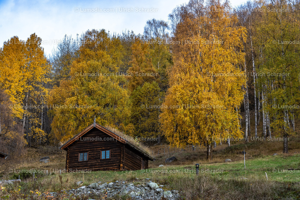 10047-10087 - Stabkirche von Uvdal  - Norwegen | Stockfoto und Bilderpool mit Bildmaterial aus Deutschland, dem Harz, Halberstadt, Quedlinburg, Wernigerode und weltweit. Qualitativ hochwertige und professionelle Fotos anschauen und kaufen. - Realisiert mit Pictrs.com