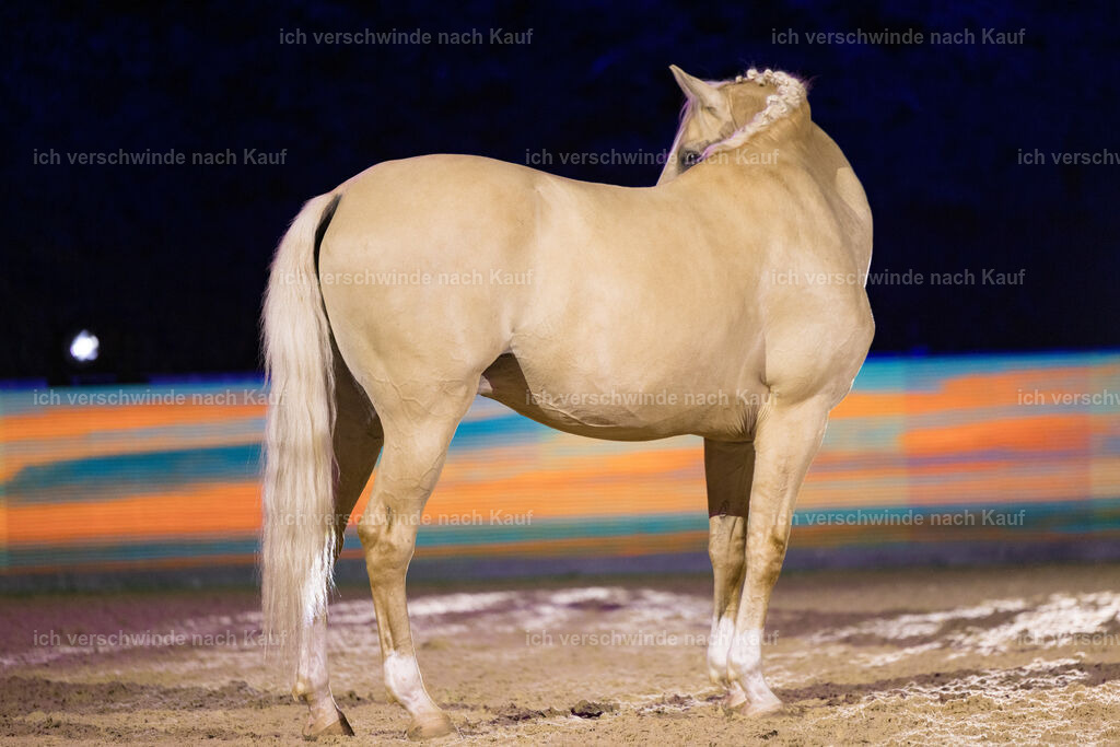 Gala-123 | working equitationturnier fotograf videograf stoibphotography marixx film working equitation deutschland reitsport turnierfotografie eventfotografie equestrian events