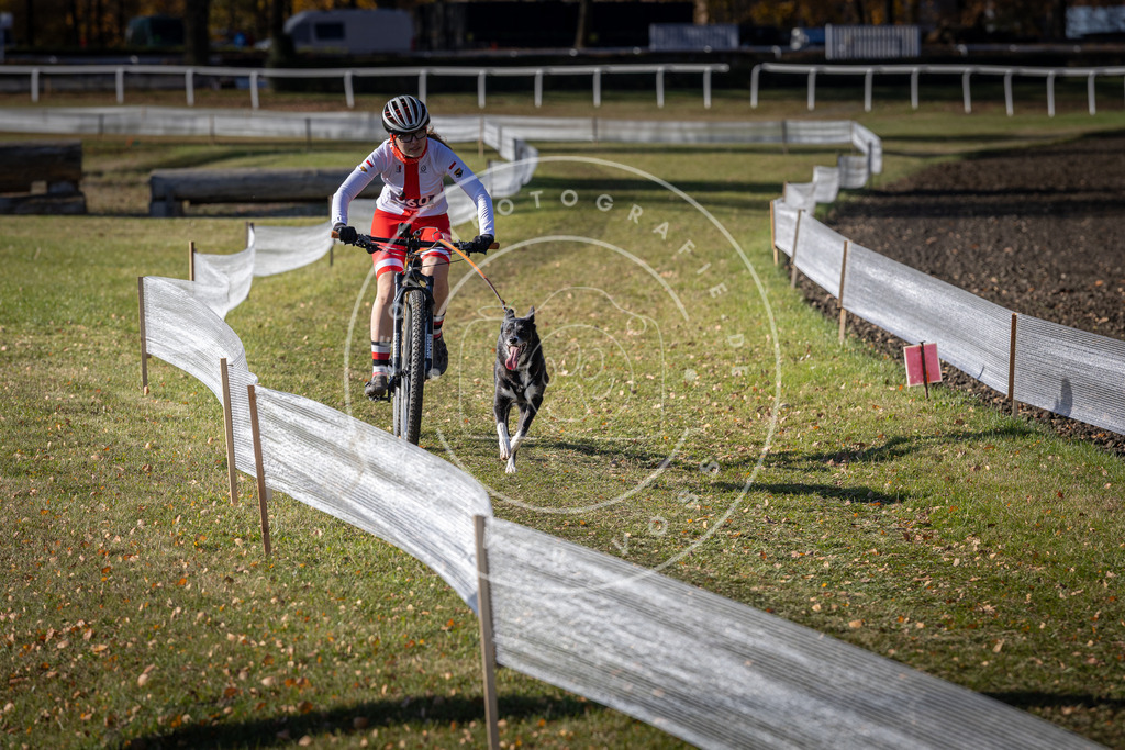 CaniXpix_DV3A7371 | Hundefotografie, Tierfotograf, Pfotenfotografie, Fotoshooting Hund, Hunde Portrait, Hundesport, Hundeportraits, Heideshooting, Hunde, Sportfotograf, Hundefotograf, Turnierhundsport, THS,  - Realisiert mit Pictrs.com