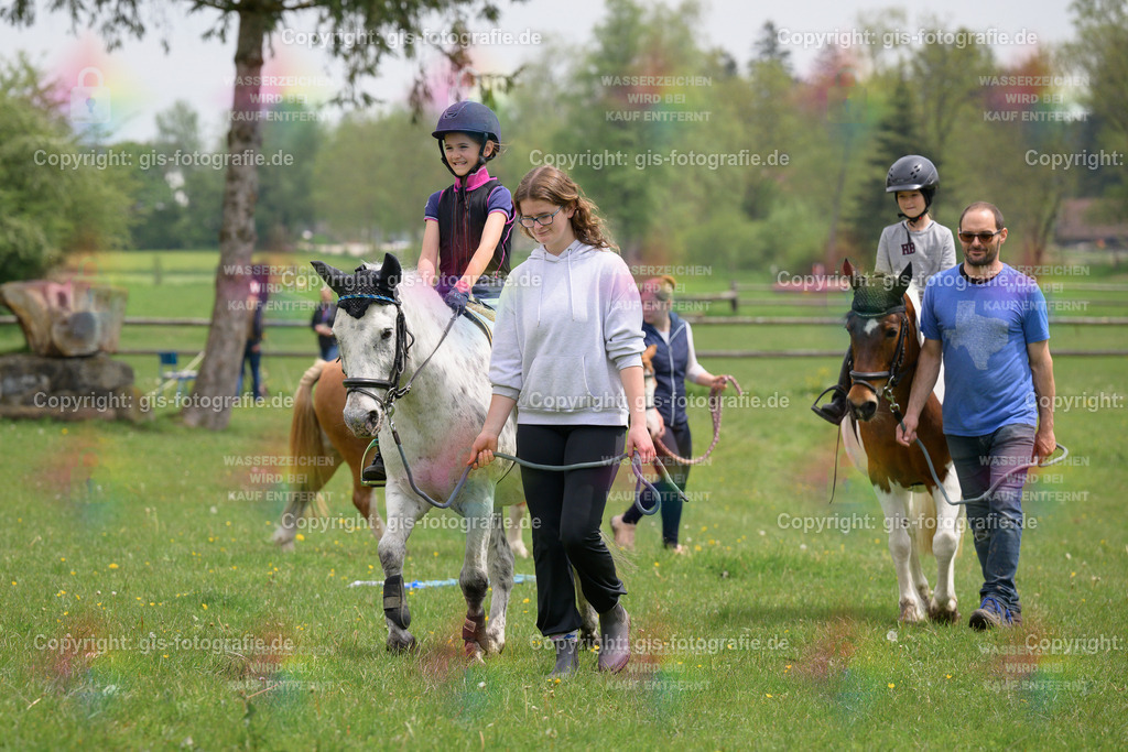 Ponyführzügel_230520_027 | gis-fotografie