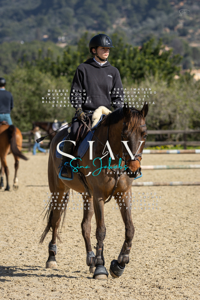 IMG_6154 | s-jay-photography - Realisiert mit Pictrs.com