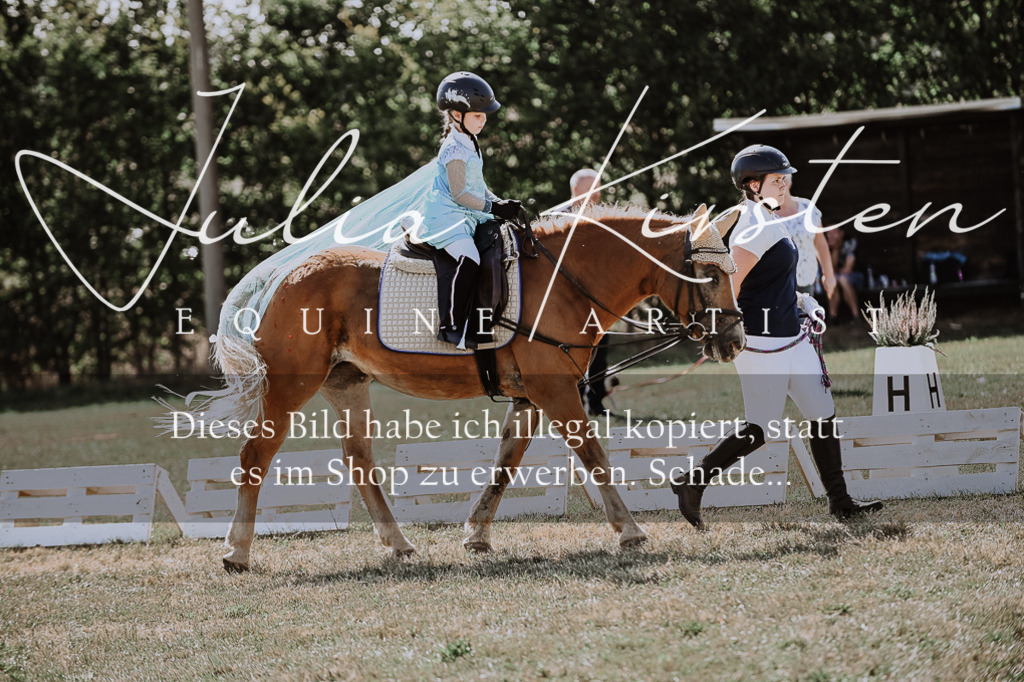 DSC_9028 | Pferde- und Turnierfotografie in Westsachsen. Pferdeportraits, Auftragszeichnungen und intuitive Kunst.