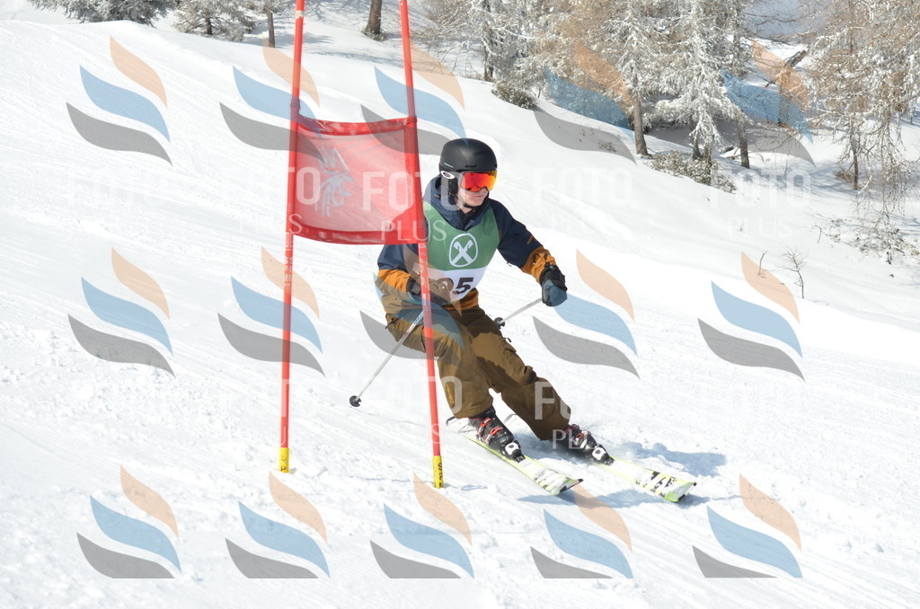 D9098 | holidayphoto