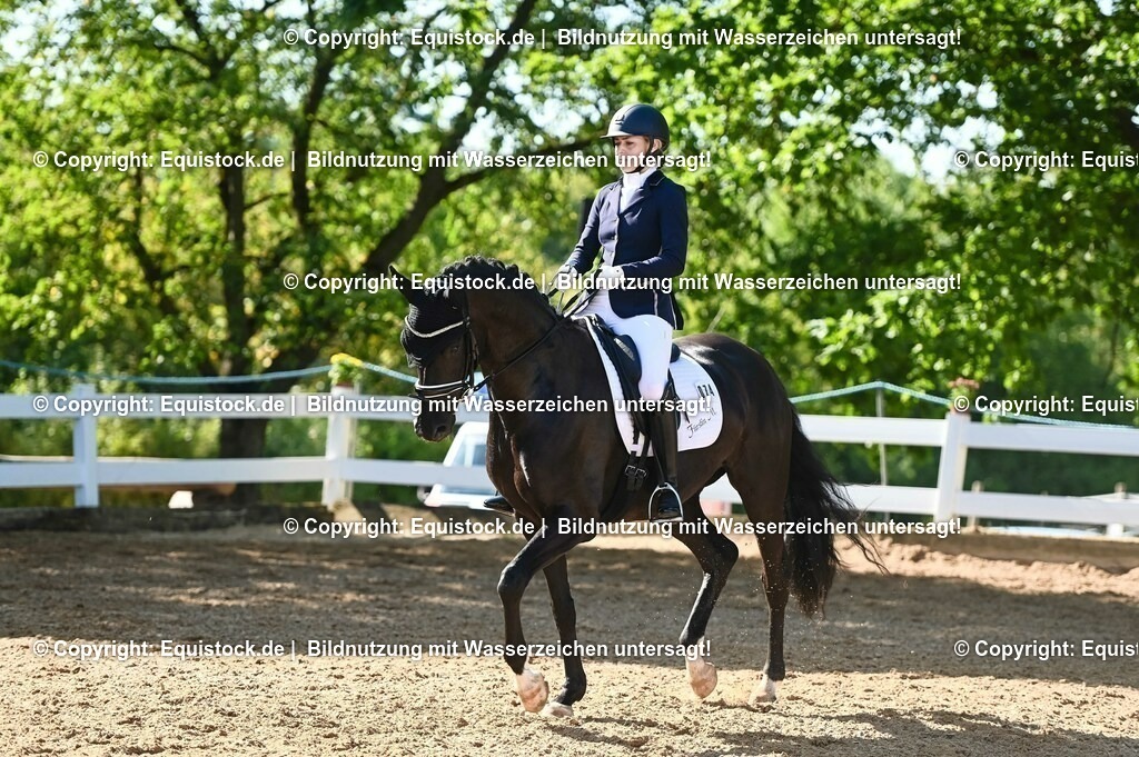 20230715_06_Dressurpferdeprfg. Kl.A_0234 | equistock