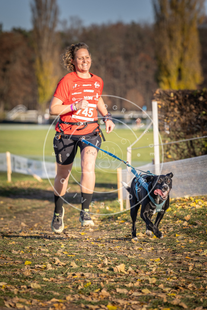 CaniXpix_DV3A2340 | Hundefotografie, Tierfotograf, Pfotenfotografie, Fotoshooting Hund, Hunde Portrait, Hundesport, Hundeportraits, Heideshooting, Hunde, Sportfotograf, Hundefotograf, Turnierhundsport, THS,  - Realisiert mit Pictrs.com