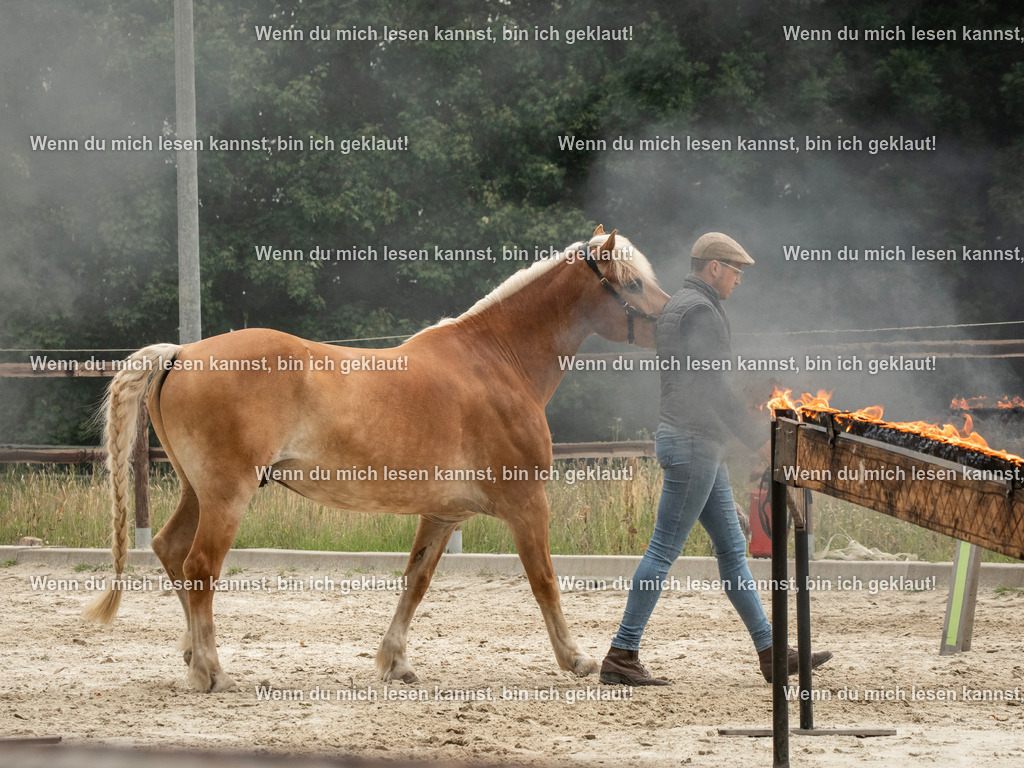 598A7018 | photographylinaismer - Realisiert mit Pictrs.com