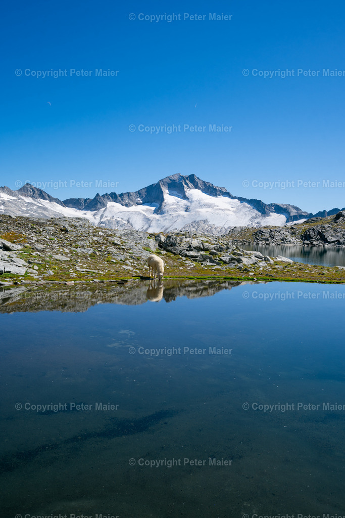 Schwarzhornsee-2430 | piet_flosse